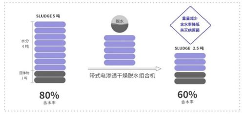 新環環保 污泥處置先進技術產品服務商，引領綠色環保新未來