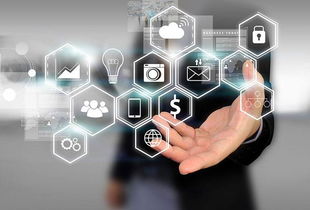 所志國軟文寫作案例 不靠廣告靠口碑，誠信服務成就電子商務新典范